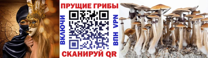 Псилоцибиновые грибы Psilocybine cubensis  darknet Telegram  Харовск 